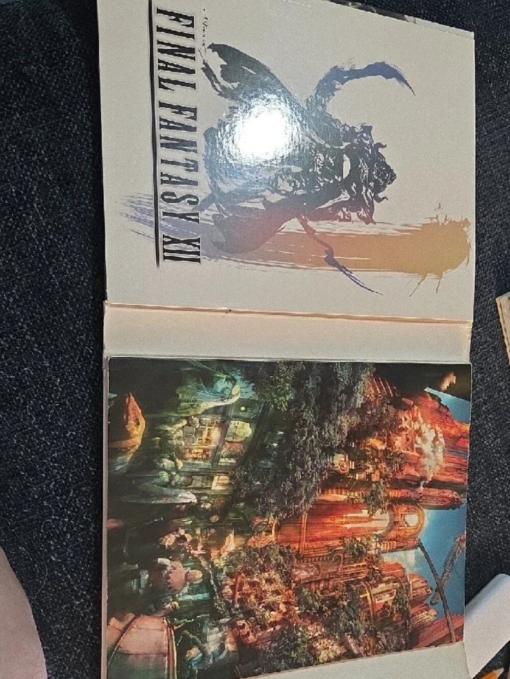 BradyGames Final Fantasy XII Limited Edition Guide - Black & Gray